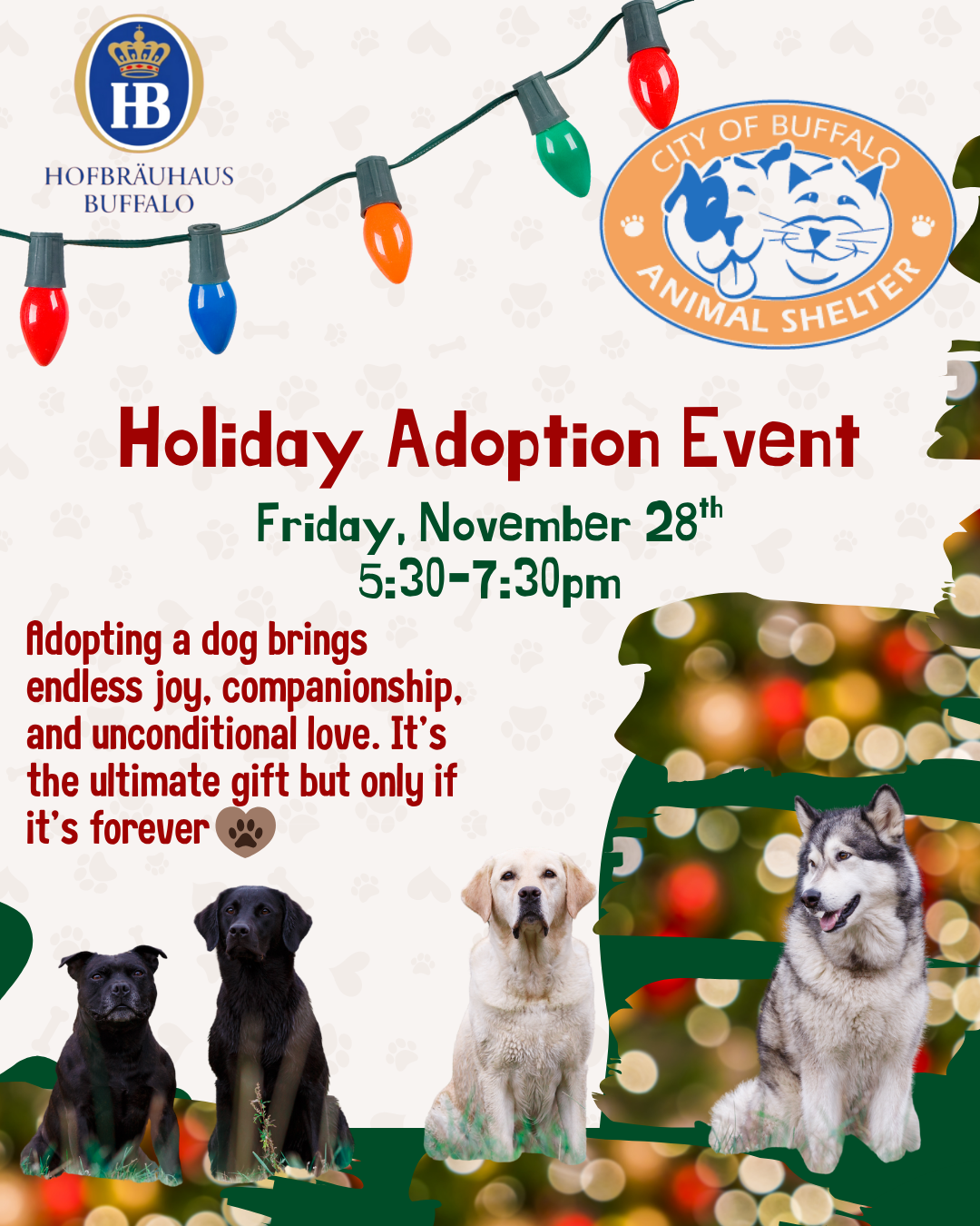 Adoption Event