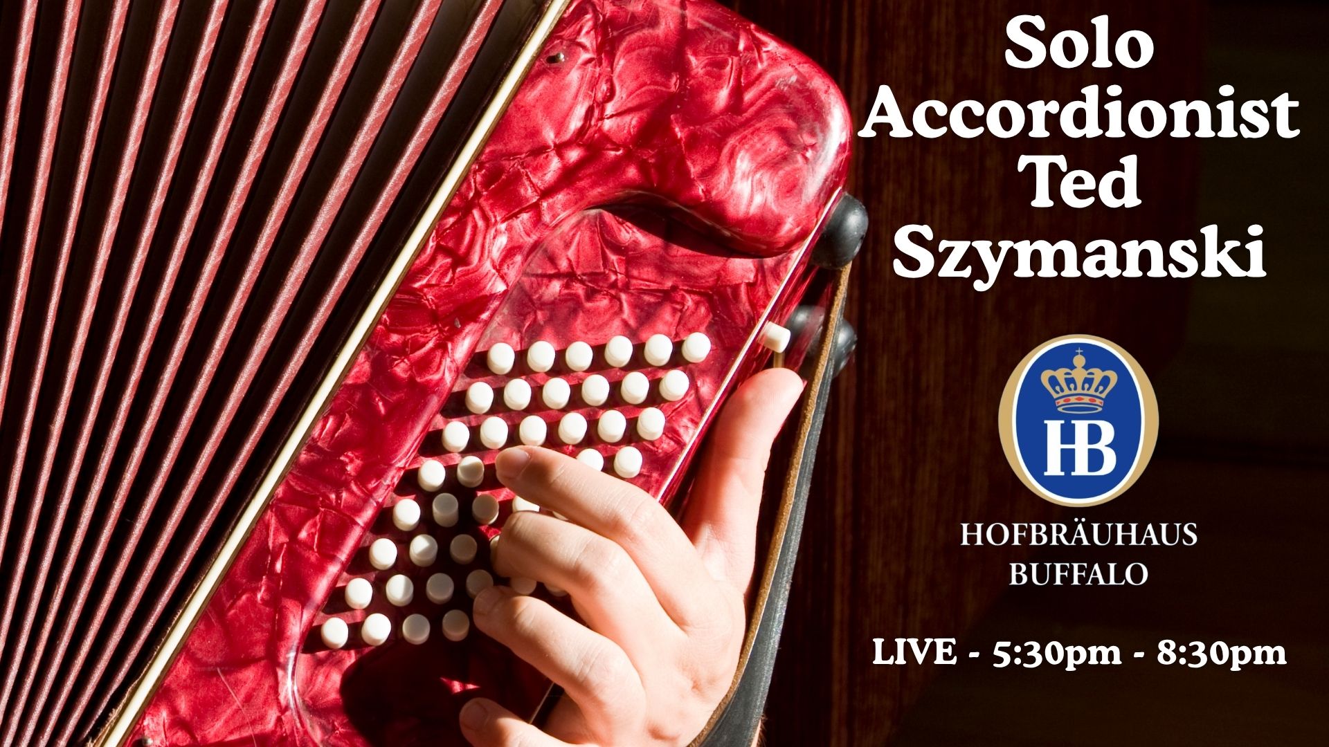 Copy Of Magical Horse Rides