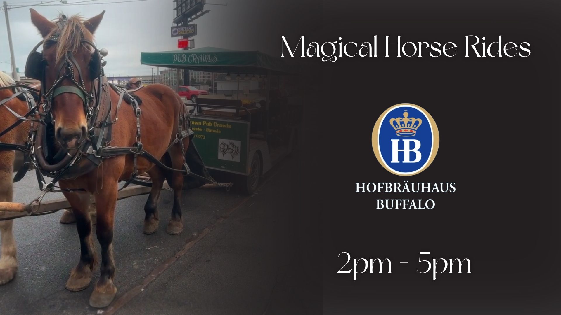 Magical Horse Rides (1)